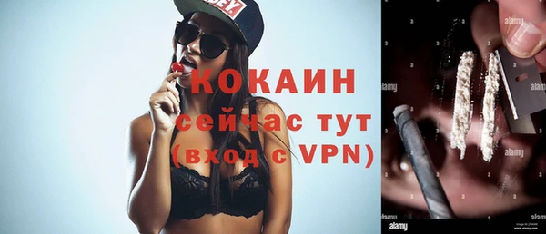 молекула духа Елабуга