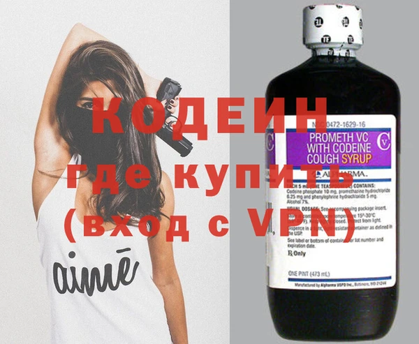 молекула духа Елабуга