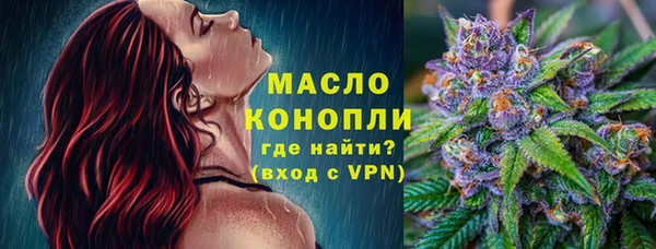 молекула духа Елабуга