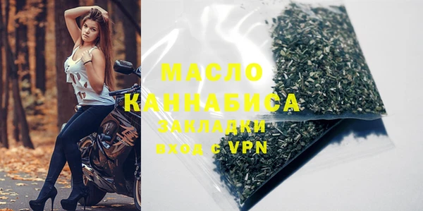 молекула духа Елабуга