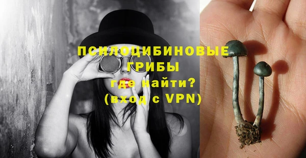 мет Елизово